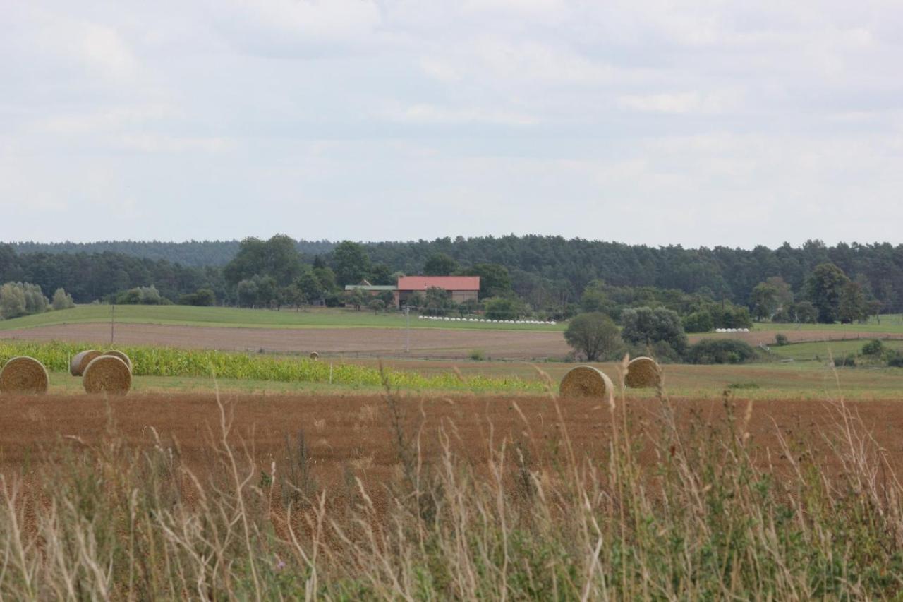 Hof Georgenhoehe Lychen Kültér fotó